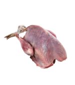 Pigeon meat