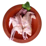 Pigeon meat - Image 2