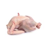 Turkey Meat