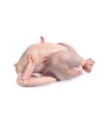 Turkey Meat