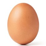 Chicken Egg